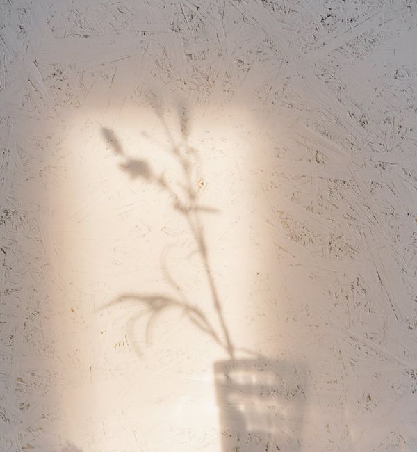 Silhouette of a person meditating against a simple background.